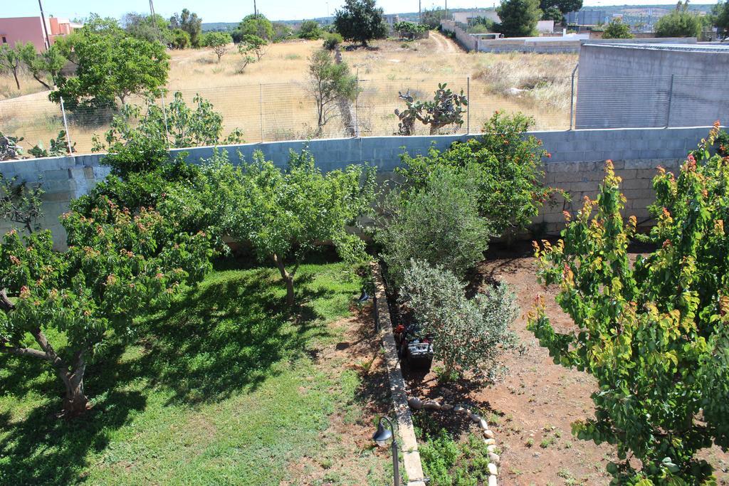 טורה סן ג'ובאני אוג'נטו B&B L'Isola Che Non C'E מראה חיצוני תמונה